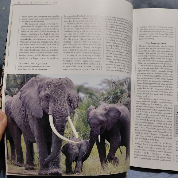 Reader's Digest 'Intelligence in Animals' Book - Picture 3 of 6